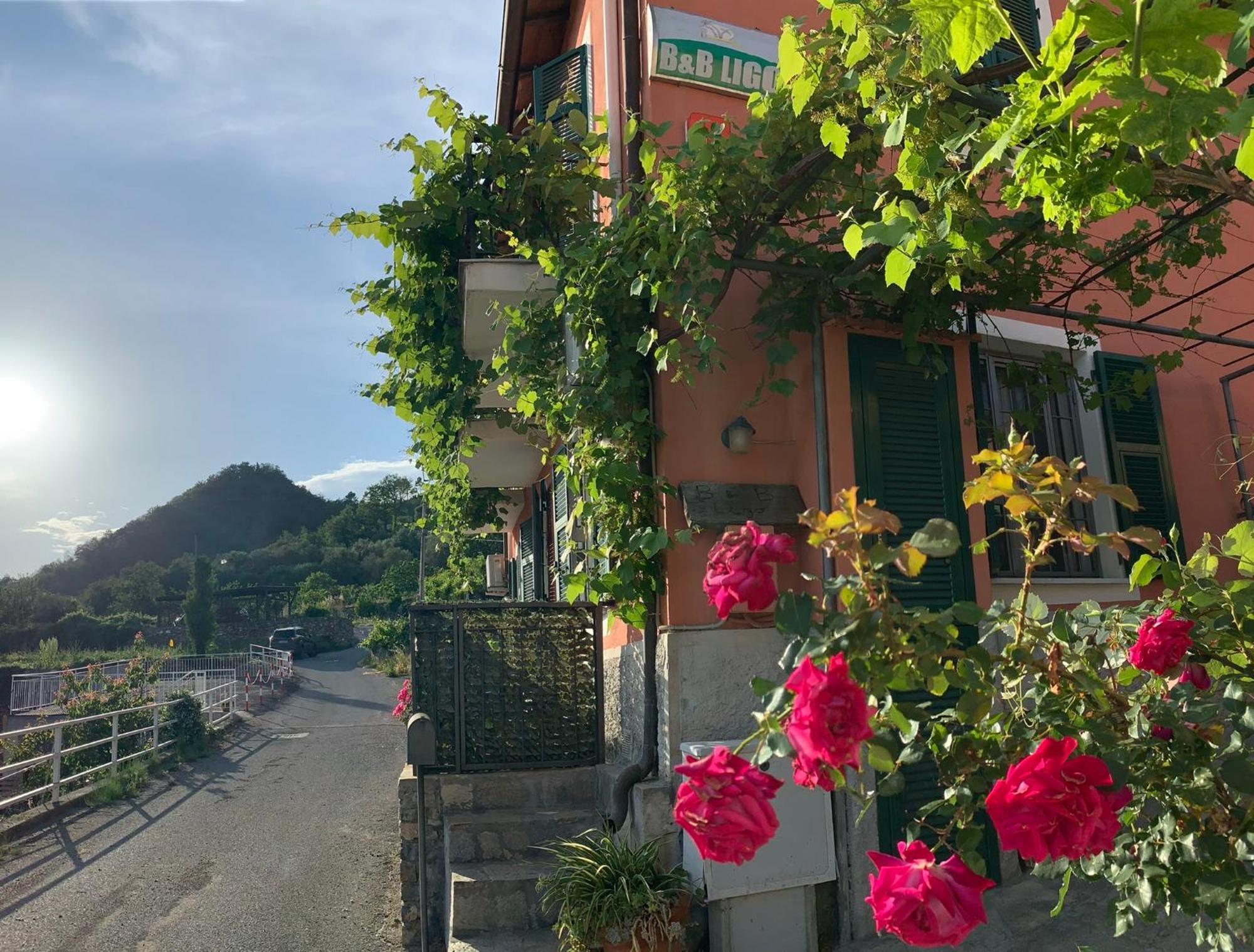 Ligo Bed and Breakfast Villanova d'Albenga Buitenkant foto