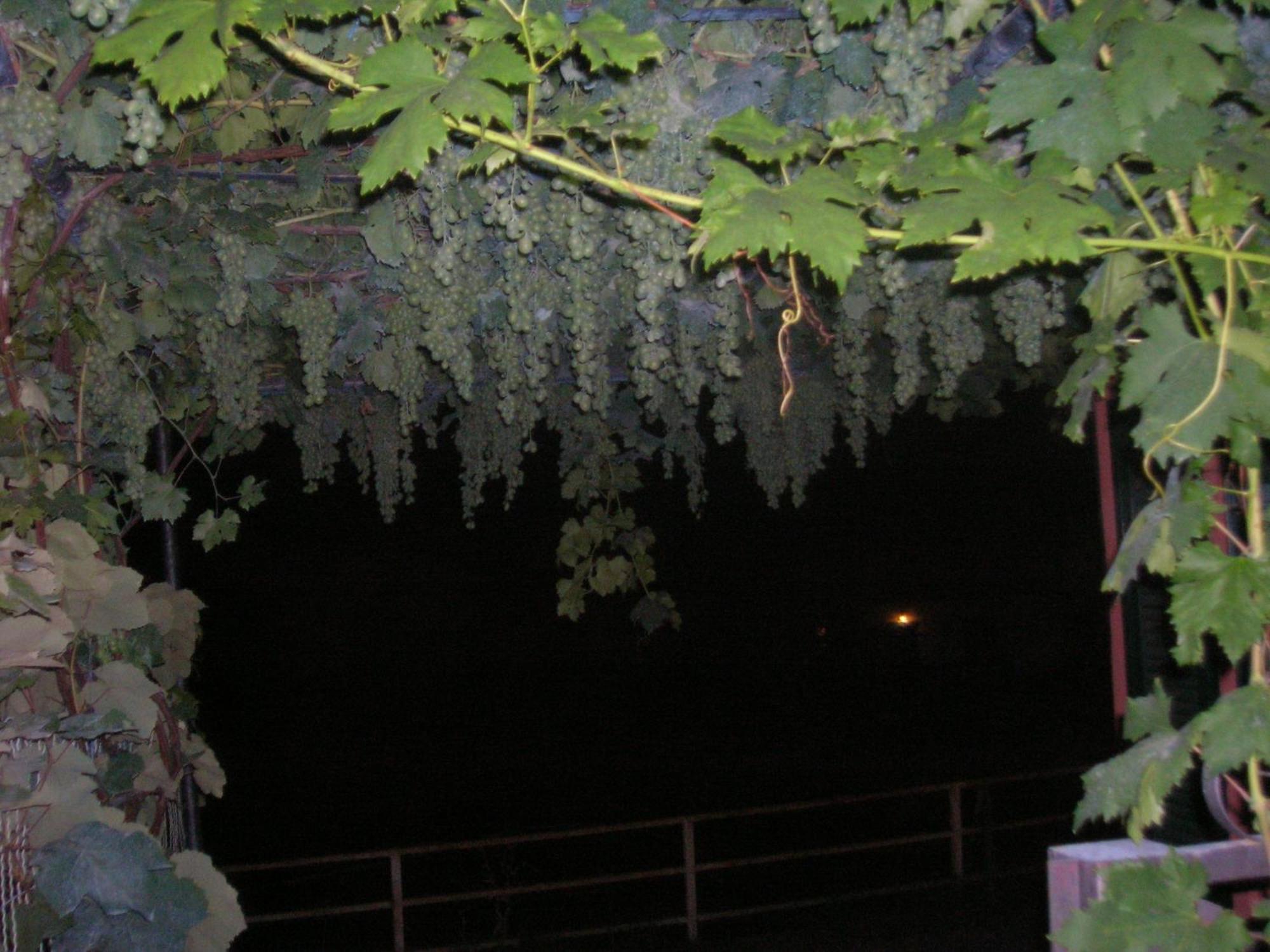 Ligo Bed and Breakfast Villanova d'Albenga Buitenkant foto