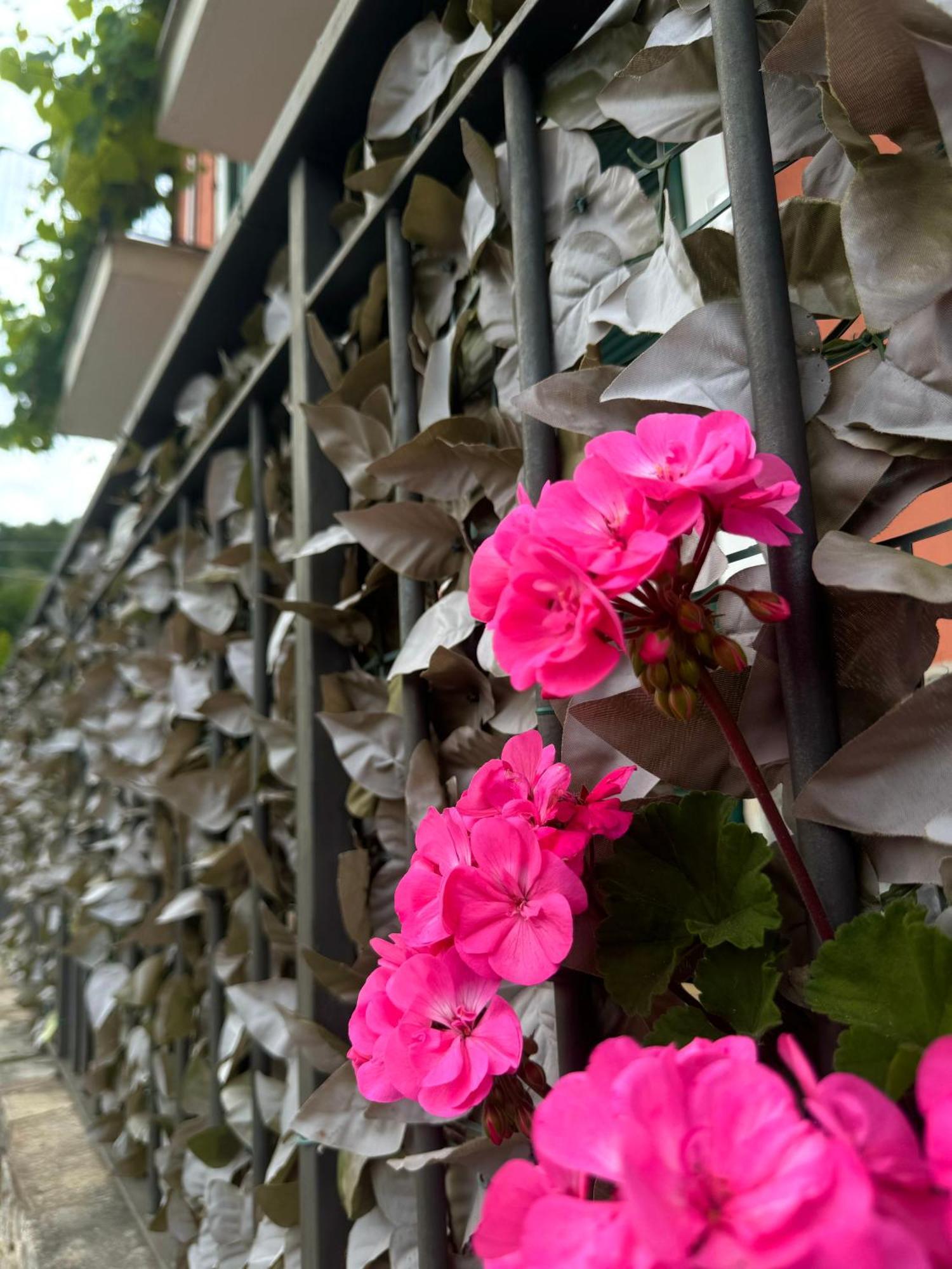 Ligo Bed and Breakfast Villanova d'Albenga Buitenkant foto