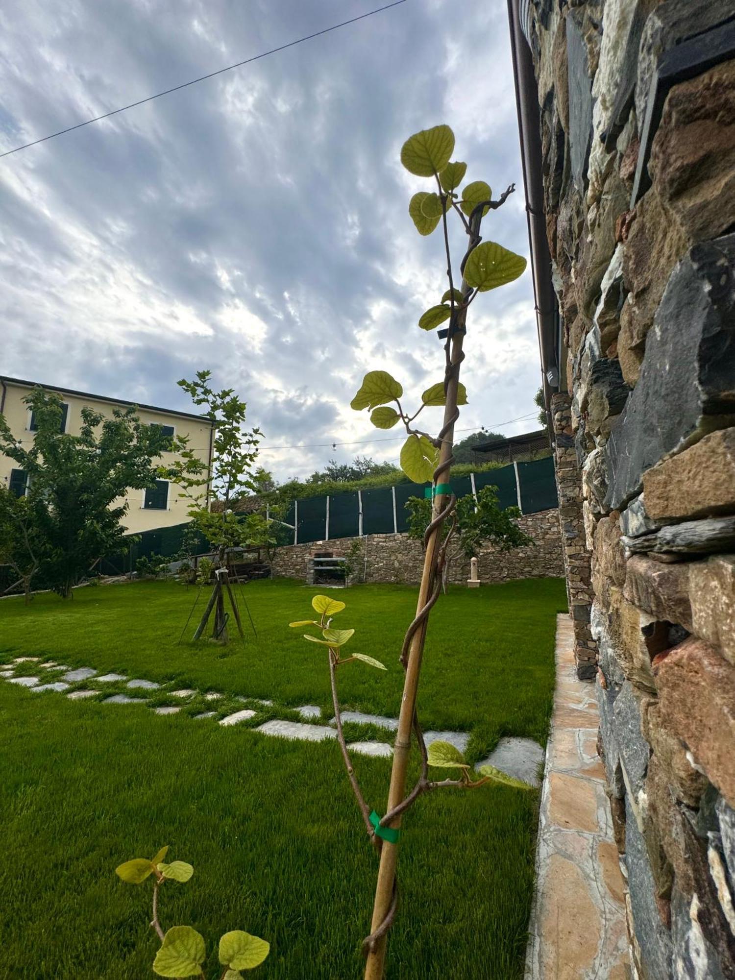 Ligo Bed and Breakfast Villanova d'Albenga Buitenkant foto