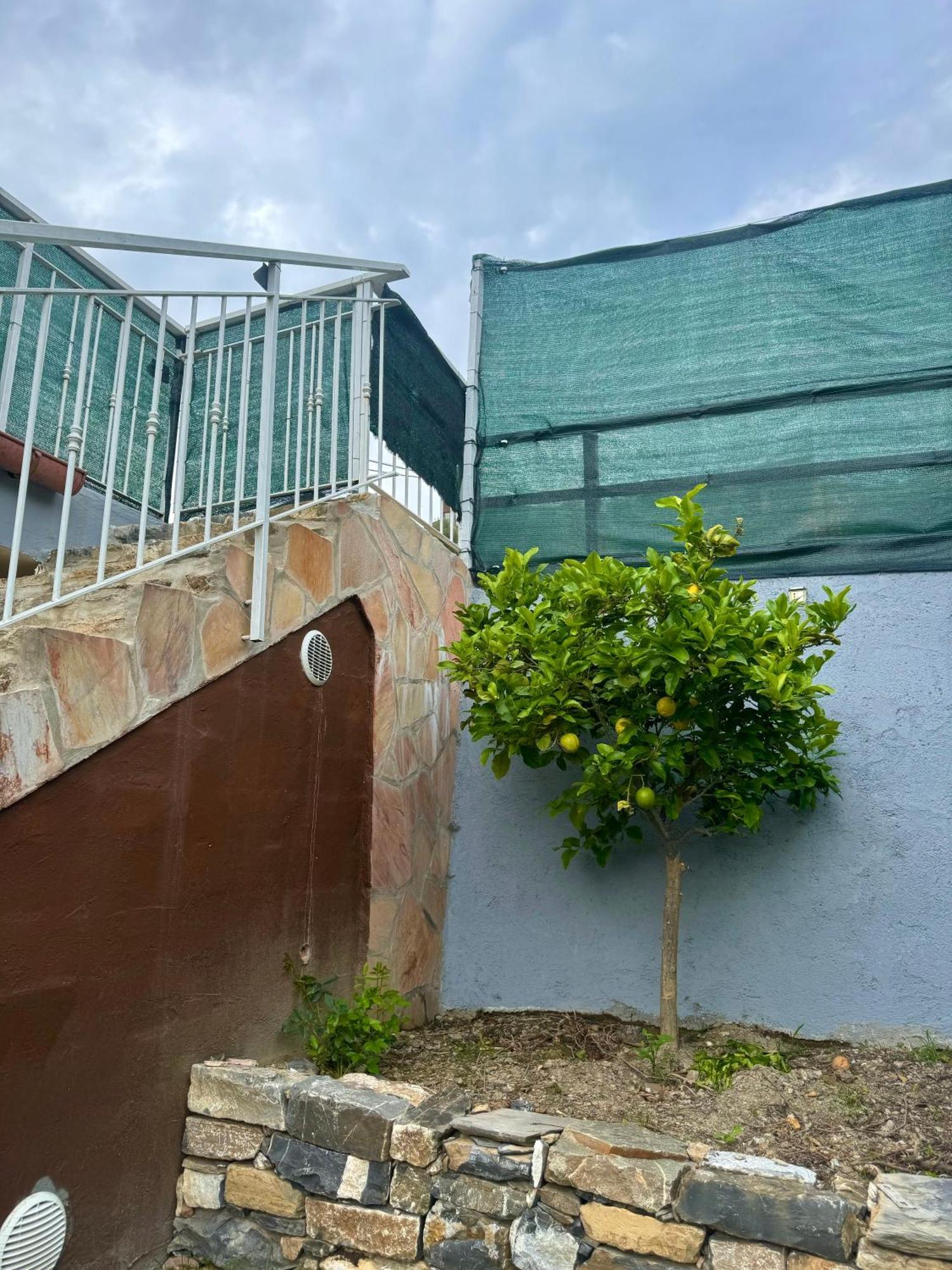 Ligo Bed and Breakfast Villanova d'Albenga Buitenkant foto
